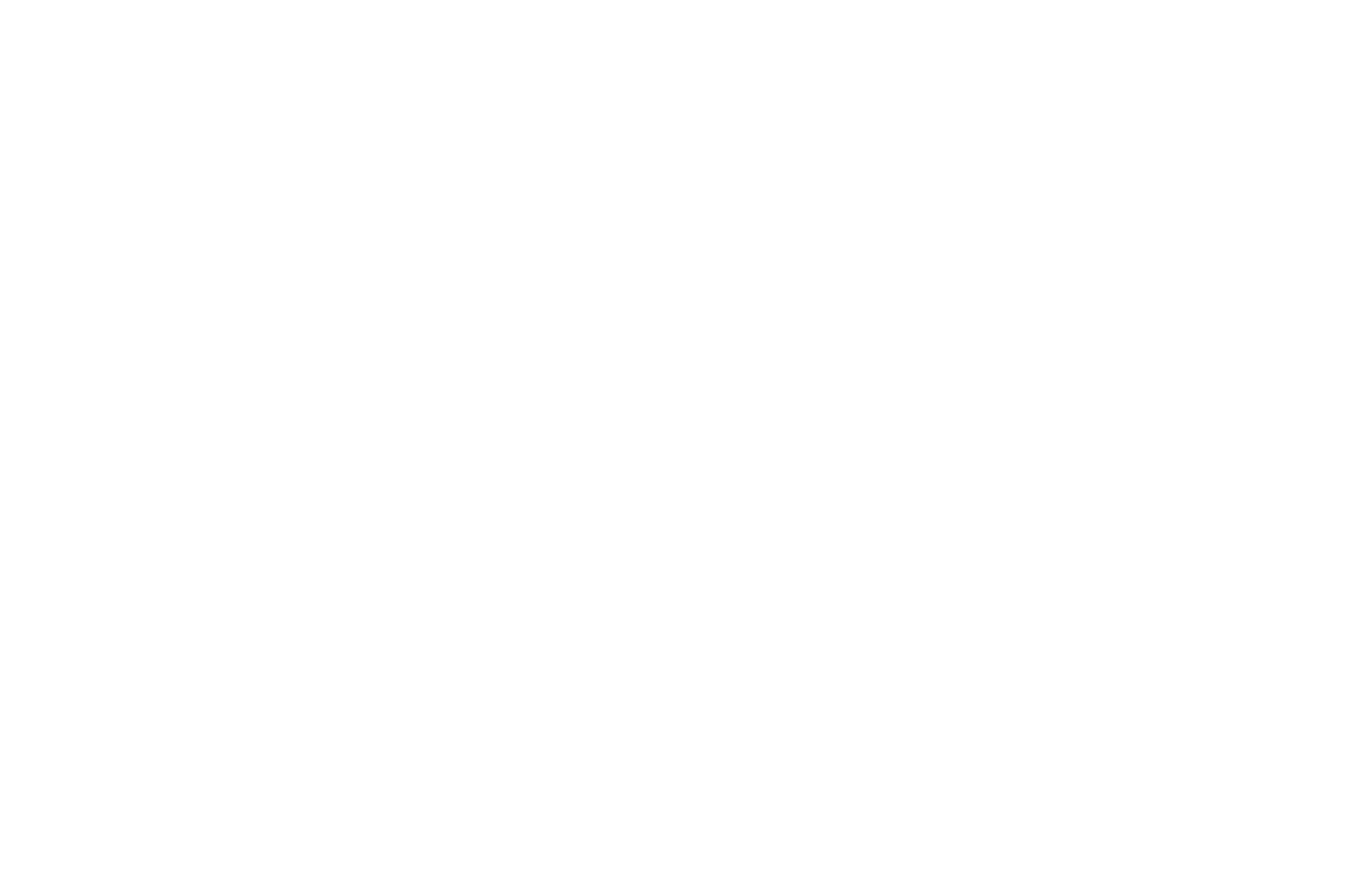 A10 Search Solutions Logo
